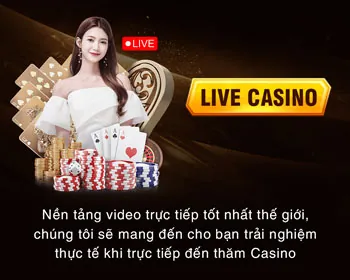 Cá cược bóng đá trên sân vận động